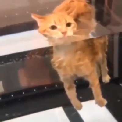 floaty boy