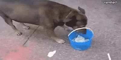 hmmm