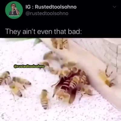 Why ya&rsquo;ll so scared?