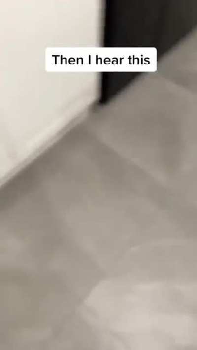 Nice airpods