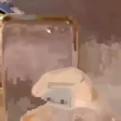 Bor&aacute; bugar o c&eacute;rebro galera