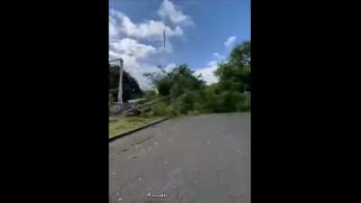 Dear tree cutter, fuck you. Love, ex-tree.