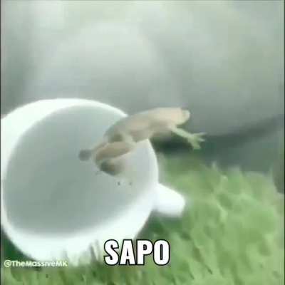 S A P O