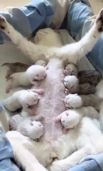 Breakfast is served