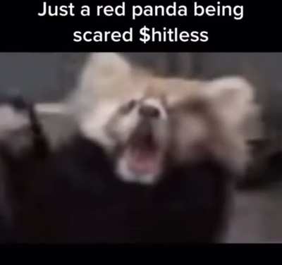 Scared out of mind!