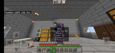 ready to kill Ender Dragon, wish me luck