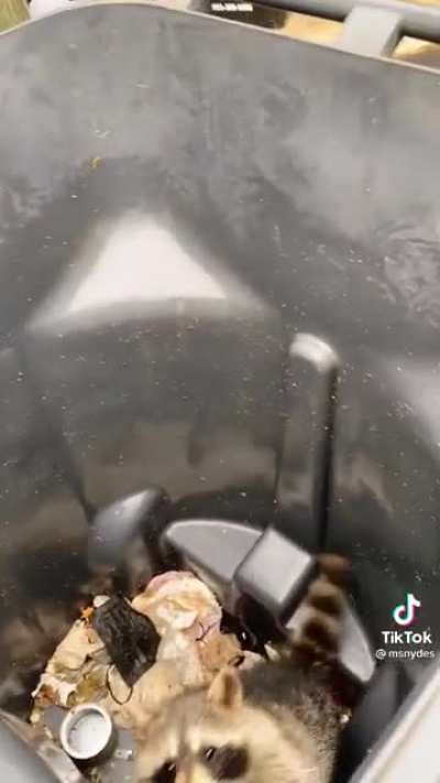 Maybe maybe maybe