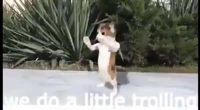 🧐👌