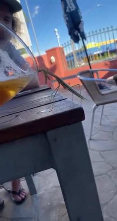 По пивку?
