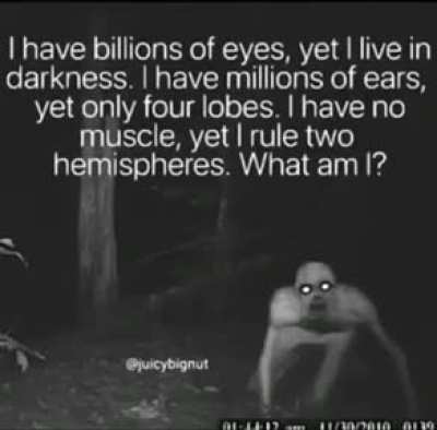 You guys will like this