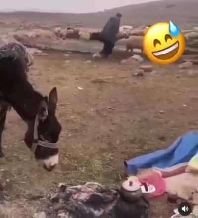 poor human