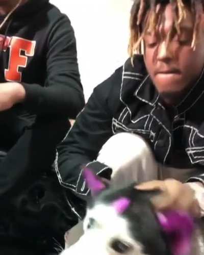 awwww