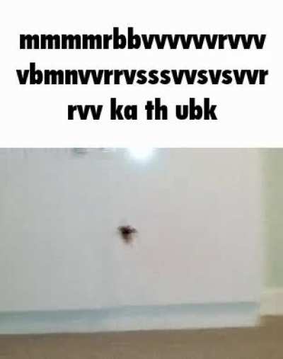 rulussy