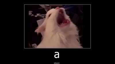 AAAAAAA