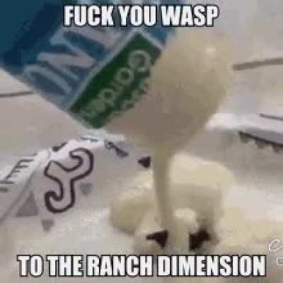 Fuck wasps.