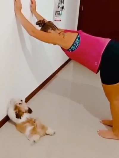 When she thinks you&rsquo;re trying to push the wall and rushes to help