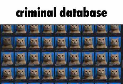 criminals