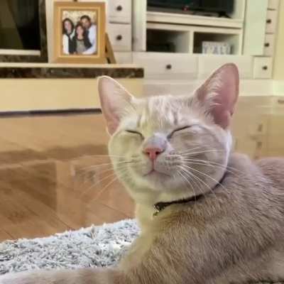 "I love you too, but i need some sleep"