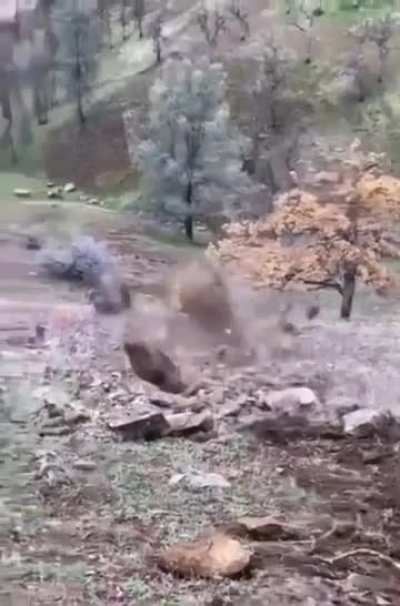 …tree