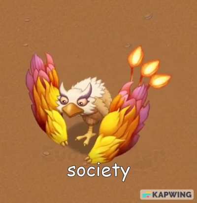 society 