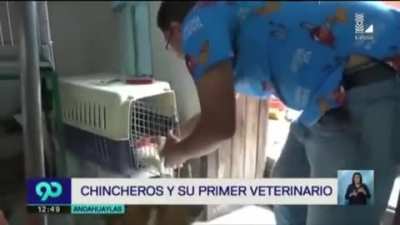 Real talk: Los cuyos est&aacute;n bien sabrosos alv