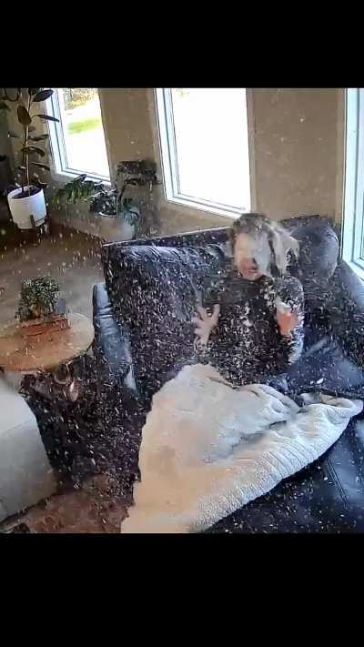 Wakey wakey! 