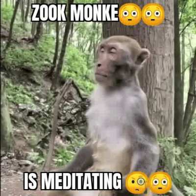 Zook "monk"😳😳😲
