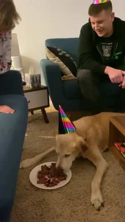 Tanner&rsquo;s 15th birthday surprise - filet mignon. What a good boy!