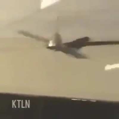 birb
