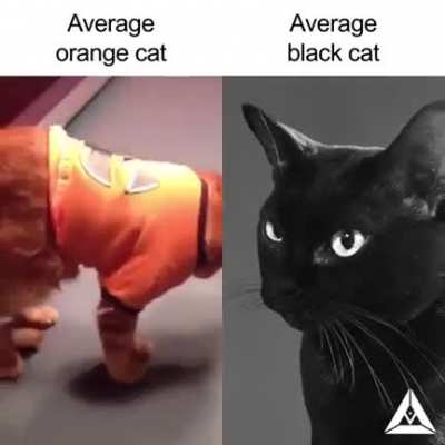 racismo