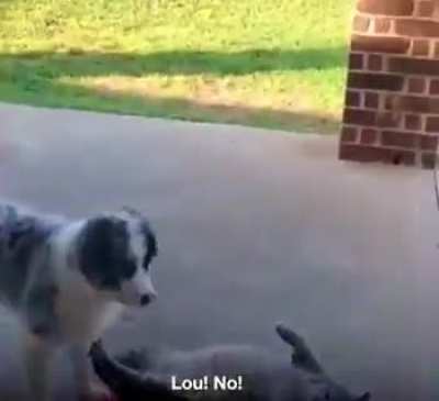 They are fighting for no reason...