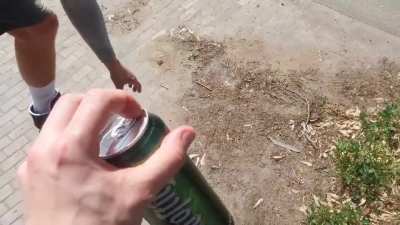 Heyaheyaho der inkognito