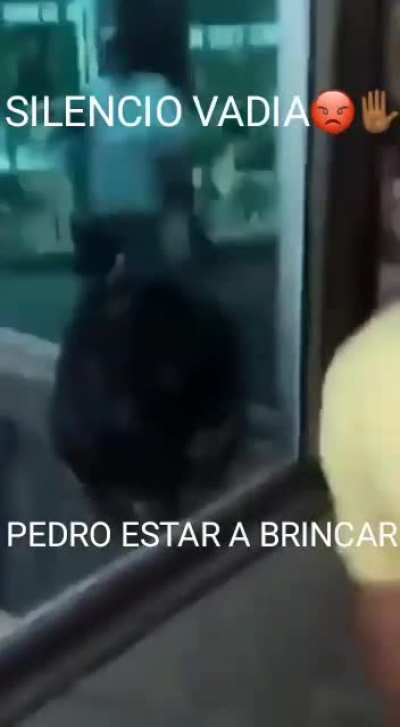 sil&ecirc;ncio
