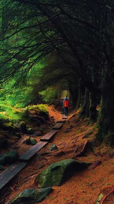 Poetic Nature