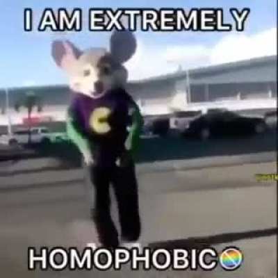 Si o no si o no