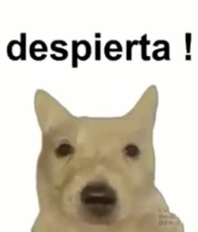 Papu!!!!