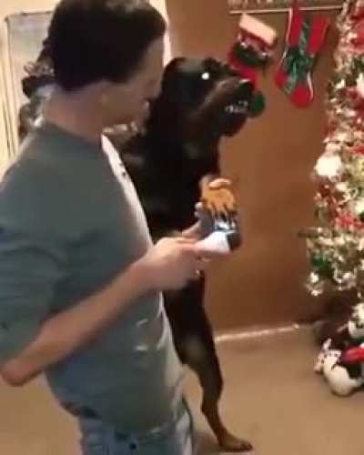 El video m&aacute;s tenso ke visto en toda mi vida