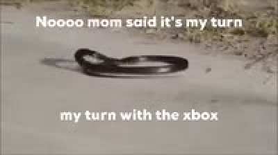 Xboc