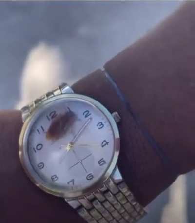 Introducing the new &ldquo;Roachex&rdquo; line of watches