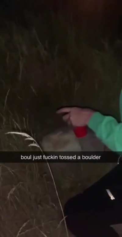 XD
