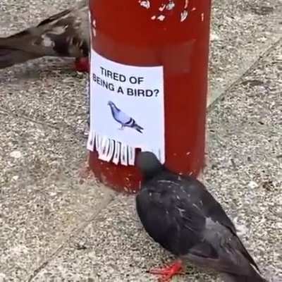 Me_irl