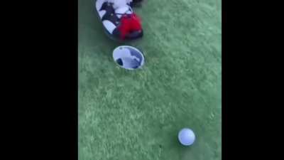 Just playing some minigolf