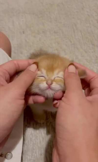 Small, red and ...so cute.