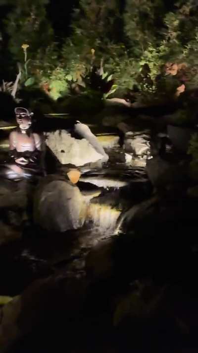 Koi pond at night