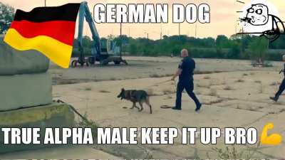 retarded french dog 🇫🇷🏳️‍🌈 vs chad german dog 🇩🇪🇩🇪🇩🇪🇩🇪💪💪💪💪