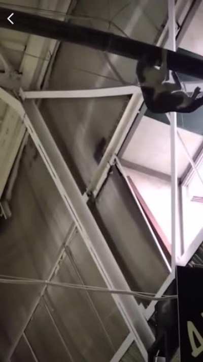 Distressed cat stuck in the air gets helped by the crowd