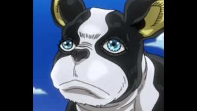 I G G Y