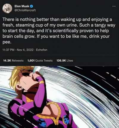 「ELON EXPERIENCE」
