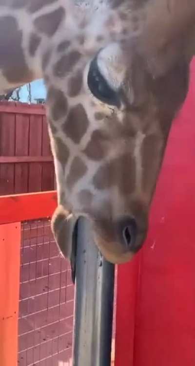 You can't even reach so don&rsquo;t even try