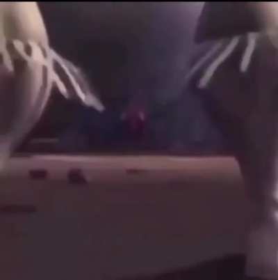 Punk